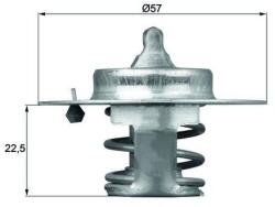 MAHLE Termostat, lichid racire MAHLE TX 60 83D (TX 60 83D)