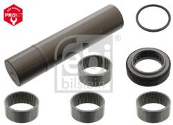 Febi Bilstein Set reparatie, pivot FEBI BILSTEIN 15865 (15865)