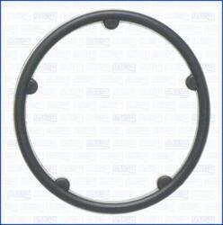 AJUSA Garnituri, carcasa filtru ulei AJUSA 01514800 (01514800)