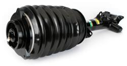 Arnott Brat arc pneumatic Arnott AS-3894 (AS-3894)