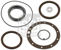 Febi Bilstein Set garnituri, butuc roata FEBI BILSTEIN 21949 (21949)