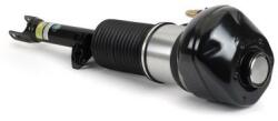 Arnott Brat arc pneumatic Arnott AS-3370 (AS-3370)