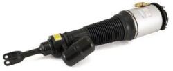 Arnott Brat arc pneumatic Arnott AS-2581 (AS-2581)