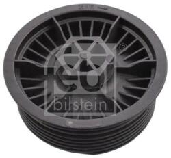 Febi Bilstein Capac, filtru combustibil FEBI BILSTEIN 108695 (108695)