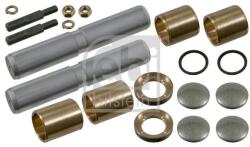 Febi Bilstein Set reparatie, pivot FEBI BILSTEIN 06326 (06326)
