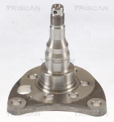 TRISCAN Butuc roata TRISCAN 8535 29012 (8535 29012)