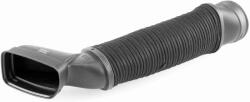 VAICO Palnie, filtru de aer VAICO V30-1031 (V30-1031)