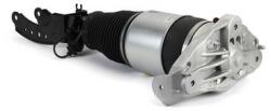 Arnott Brat arc pneumatic Arnott AS-3165 (AS-3165)