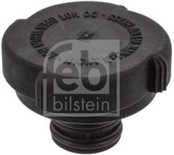 Febi Bilstein Buson, vas expansiune FEBI BILSTEIN 01617 (01617)