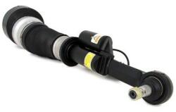 Arnott Brat arc pneumatic Arnott AS-2548 (AS-2548)