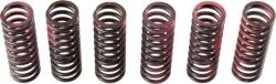 TRW Set arc ambreiaj TRW MEF307-6 (MEF307-6) - fixbox