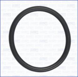 AJUSA Garnituri, carcasa filtru ulei AJUSA 16114800 (16114800)