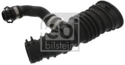 Febi Bilstein Palnie, filtru de aer FEBI BILSTEIN 46730 (46730)