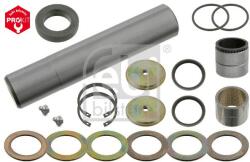 Febi Bilstein Set reparatie, pivot FEBI BILSTEIN 10608 (10608)