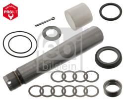 Febi Bilstein Set reparatie, pivot FEBI BILSTEIN 04541 (04541)