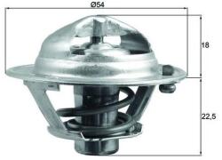 MAHLE Termostat, lichid racire MAHLE TX 166 90D (TX 166 90D)