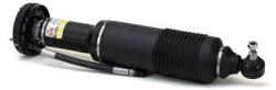 Arnott Brat arc pneumatic Arnott SK-2418 (SK-2418)