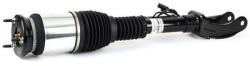 Arnott Brat arc pneumatic Arnott AS-3153 (AS-3153)