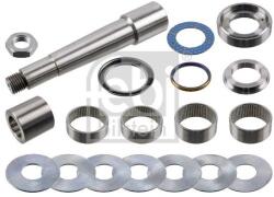 Febi Bilstein Set reparatie, pivot FEBI BILSTEIN 39120 (39120)