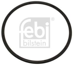 Febi Bilstein Simering, butuc roata FEBI BILSTEIN 45378 (45378)