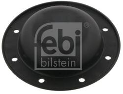 Febi Bilstein capac de protectie, butuc roata FEBI BILSTEIN 32985 (32985)