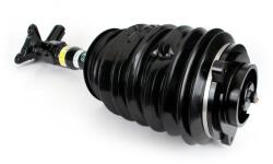 Arnott Brat arc pneumatic Arnott AS-3896 (AS-3896)
