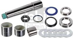 Febi Bilstein Set reparatie, pivot FEBI BILSTEIN 104471 (104471)