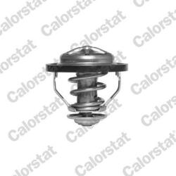 CALORSTAT by Vernet Termostat, lichid racire CALORSTAT by Vernet TH5446.83J (TH5446.83J)