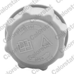 CALORSTAT by Vernet Buson, vas expansiune CALORSTAT by Vernet RC0039 (RC0039)