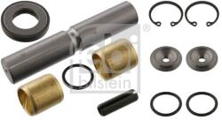 Febi Bilstein Set reparatie, pivot FEBI BILSTEIN 03652 (03652)