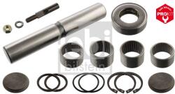 Febi Bilstein Set reparatie, pivot FEBI BILSTEIN 08803 (08803)