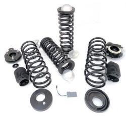 Arnott Set suspensie, arcuri elicoidale Arnott C-2518 (C-2518) - fixbox