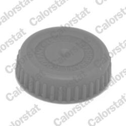 CALORSTAT by Vernet Buson, vas expansiune CALORSTAT by Vernet RC0188 (RC0188)