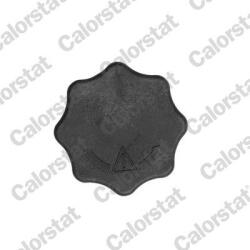 CALORSTAT by Vernet Buson, vas expansiune CALORSTAT by Vernet RC0198 (RC0198)