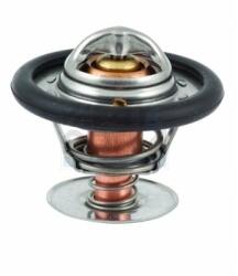 Meat & Doria Termostat, lichid racire MEAT & DORIA 92322 (92322)