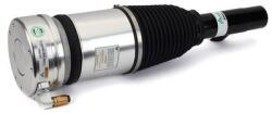 Arnott Brat arc pneumatic Arnott AS-3344 (AS-3344)