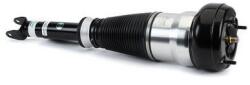 Arnott Brat arc pneumatic Arnott AS-3163 (AS-3163)