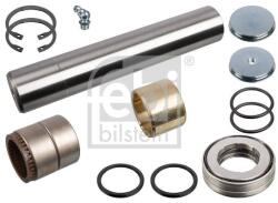 Febi Bilstein Set reparatie, pivot FEBI BILSTEIN 102053 (102053)