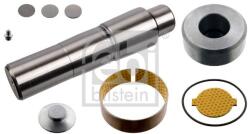 Febi Bilstein Set reparatie, pivot FEBI BILSTEIN 170283 (170283)