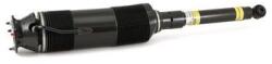 Arnott Brat arc pneumatic Arnott SK-2460 (SK-2460)