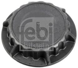 Febi Bilstein Buson, vas expansiune FEBI BILSTEIN 104608 (104608)