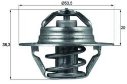 MAHLE Termostat, lichid racire MAHLE TX 88 82D (TX 88 82D)