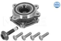 MEYLE Set reparatie, butuc roata MEYLE 100 653 0038 (100 653 0038)