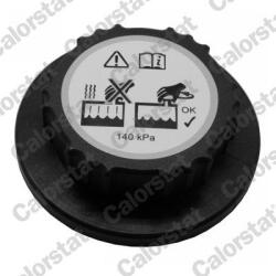 CALORSTAT by Vernet Buson, vas expansiune CALORSTAT by Vernet RC0157 (RC0157)
