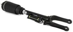 Arnott Brat arc pneumatic Arnott AS-2792 (AS-2792)