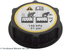 BLUE PRINT Buson, vas expansiune BLUE PRINT ADBP990013 (ADBP990013)
