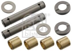 Febi Bilstein Set reparatie, pivot FEBI BILSTEIN 01153 (01153)