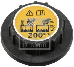 Febi Bilstein Buson, vas expansiune FEBI BILSTEIN 188571 (188571)