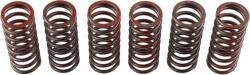 TRW Set arc ambreiaj TRW MEF326-6 (MEF326-6) - fixbox