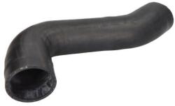 THERMOTEC Palnie, filtru de aer THERMOTEC DCC001TT (DCC001TT)
